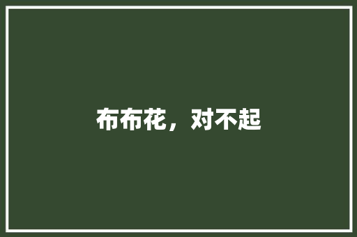布布花，对不起