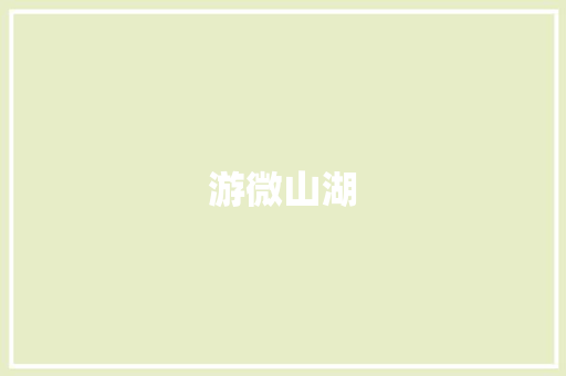 游微山湖