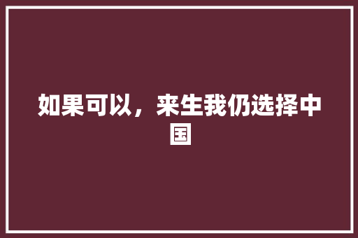 如果可以，来生我仍选择中国