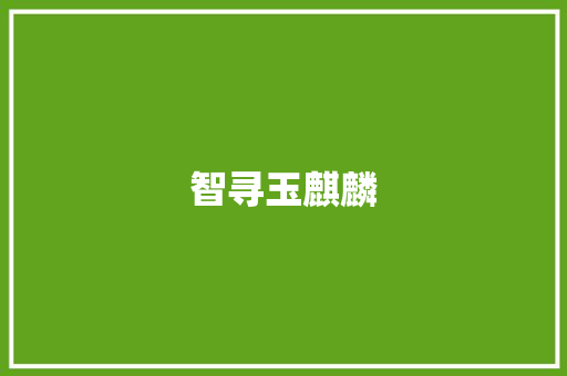 智寻玉麒麟