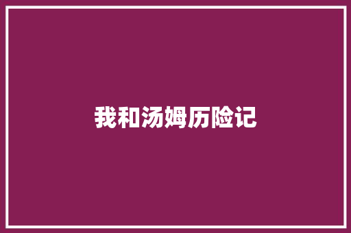 我和汤姆历险记