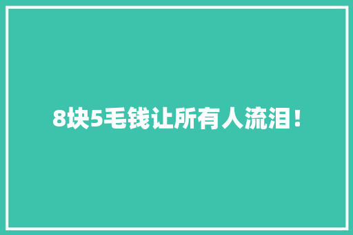 8块5毛钱让所有人流泪！