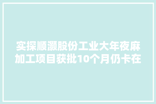 实探顺灏股份工业大年夜麻加工项目获批10个月仍卡在打桩上