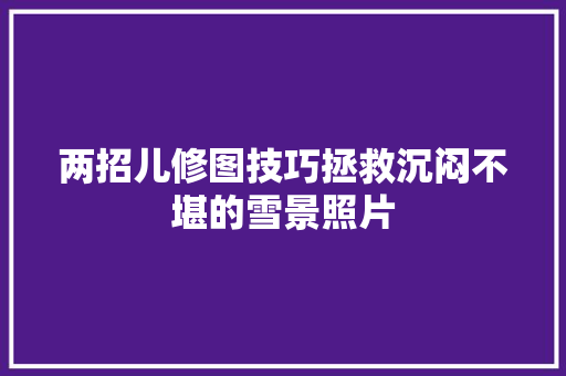 两招儿修图技巧拯救沉闷不堪的雪景照片
