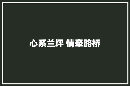 心系兰坪 情牵路桥