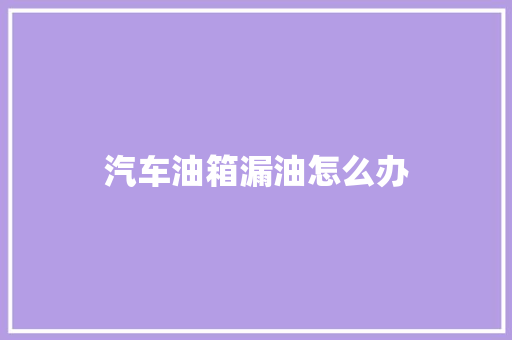 汽车油箱漏油怎么办