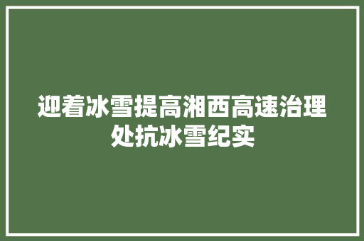 迎着冰雪提高湘西高速治理处抗冰雪纪实