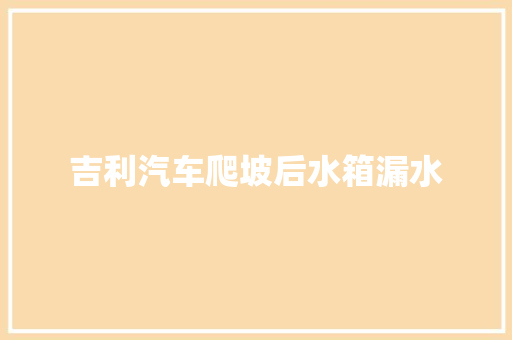 吉利汽车爬坡后水箱漏水