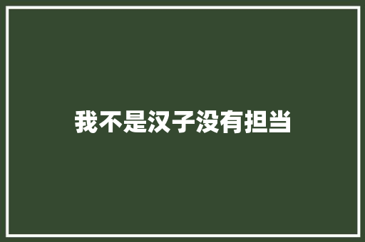 我不是汉子没有担当