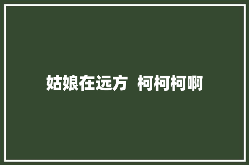 姑娘在远方  柯柯柯啊