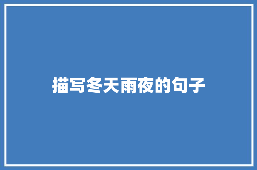 描写冬天雨夜的句子