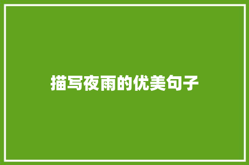 描写夜雨的优美句子