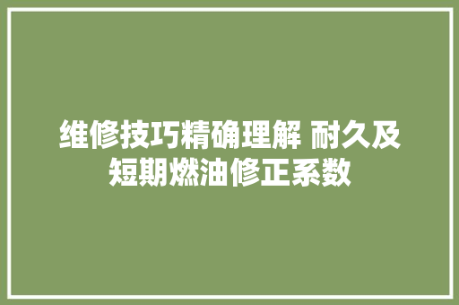 维修技巧精确理解 耐久及短期燃油修正系数