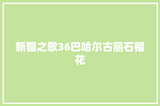 新疆之歌36巴哈尔古丽石榴花