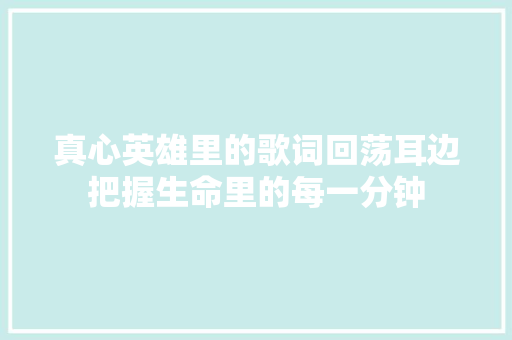 真心英雄里的歌词回荡耳边把握生命里的每一分钟