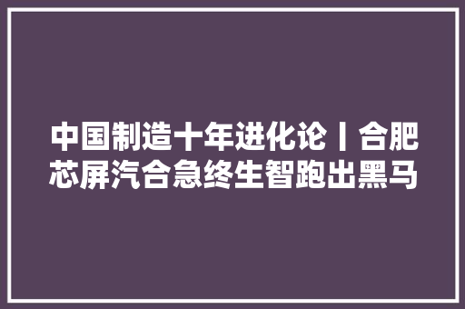 中国制造十年进化论丨合肥芯屏汽合急终生智跑出黑马速度