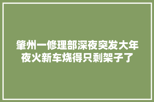 肇州一修理部深夜突发大年夜火新车烧得只剩架子了