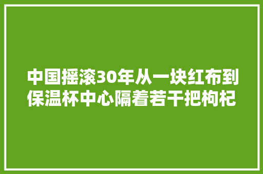 中国摇滚30年从一块红布到保温杯中心隔着若干把枸杞子