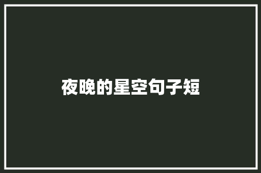 夜晚的星空句子短