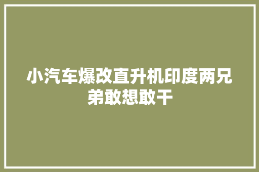 小汽车爆改直升机印度两兄弟敢想敢干