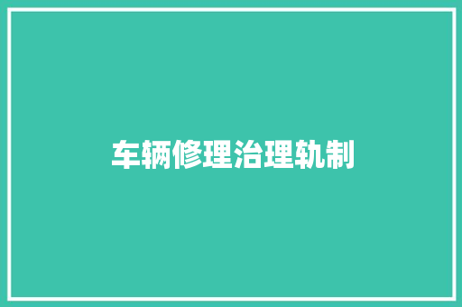 车辆修理治理轨制