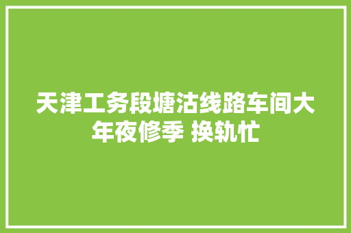 天津工务段塘沽线路车间大年夜修季 换轨忙