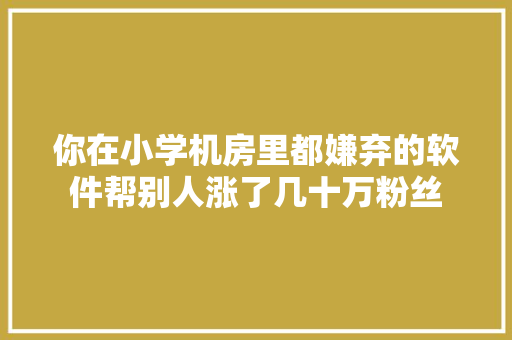 你在小学机房里都嫌弃的软件帮别人涨了几十万粉丝