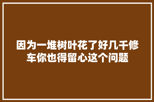 因为一堆树叶花了好几千修车你也得留心这个问题