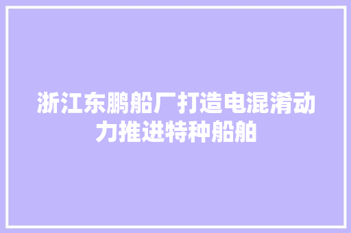 浙江东鹏船厂打造电混淆动力推进特种船舶