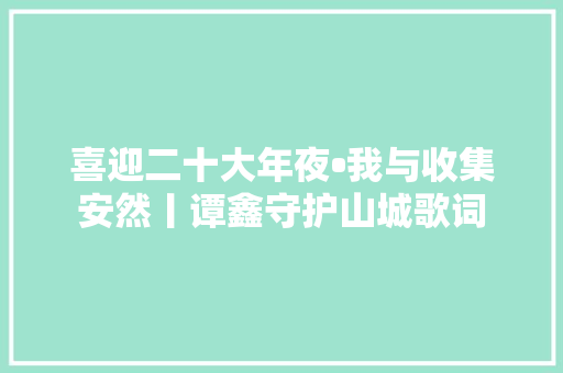 喜迎二十大年夜•我与收集安然丨谭鑫守护山城歌词 休闲娱乐