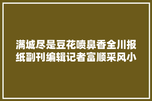 满城尽是豆花喷鼻香全川报纸副刊编辑记者富顺采风小记 汽车知识