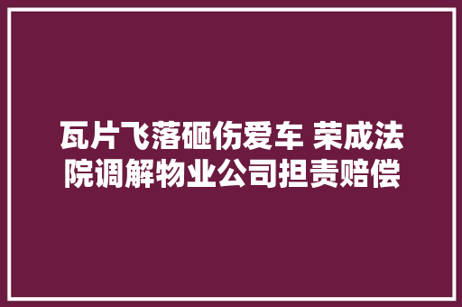 瓦片飞落砸伤爱车 荣成法院调解物业公司担责赔偿