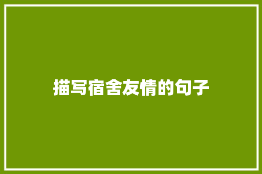 描写宿舍友情的句子 知识百科
