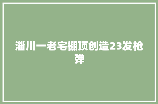 淄川一老宅棚顶创造23发枪弹