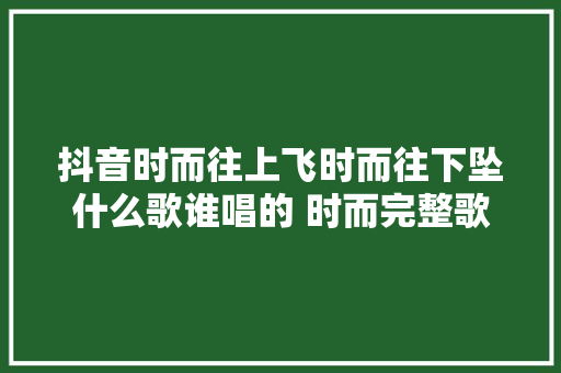 抖音时而往上飞时而往下坠什么歌谁唱的 时而完整歌词介绍
