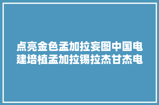 点亮金色孟加拉妄图中国电建培植孟加拉锡拉杰甘杰电站纪实