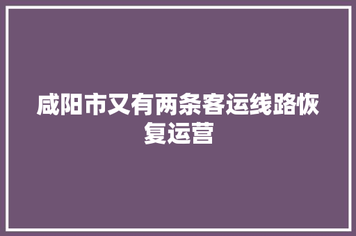 咸阳市又有两条客运线路恢复运营