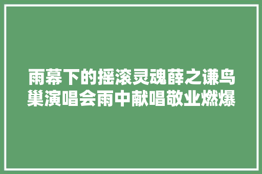 雨幕下的摇滚灵魂薛之谦鸟巢演唱会雨中献唱敬业燃爆全场
