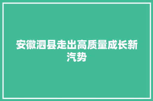安徽泗县走出高质量成长新汽势