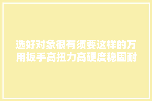 选好对象很有须要这样的万用扳手高扭力高硬度稳固耐用 汽车知识