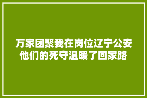 万家团聚我在岗位辽宁公安他们的死守温暖了回家路