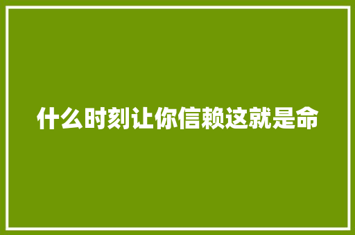 什么时刻让你信赖这就是命