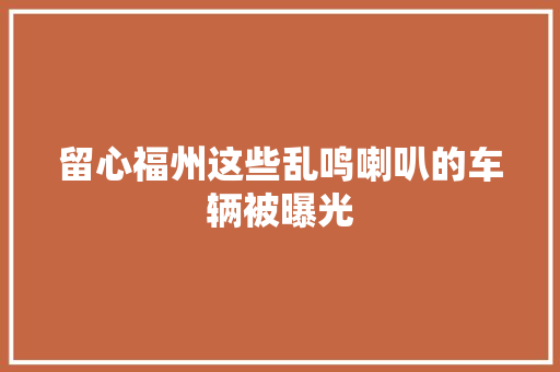 留心福州这些乱鸣喇叭的车辆被曝光