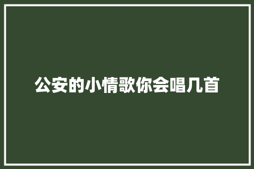 公安的小情歌你会唱几首