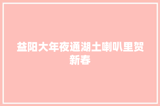 益阳大年夜通湖土喇叭里贺新春 汽车知识