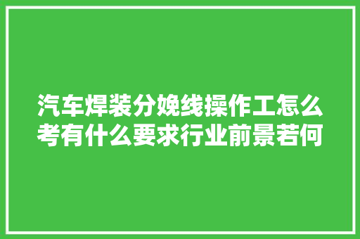 汽车焊装分娩线操作工怎么考有什么要求行业前景若何 汽车知识