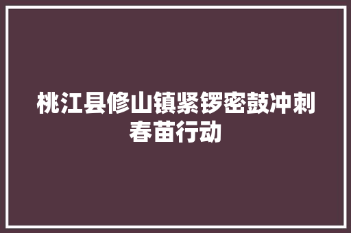 桃江县修山镇紧锣密鼓冲刺春苗行动