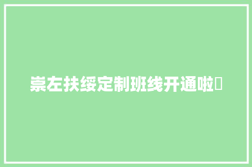 崇左扶绥定制班线开通啦​