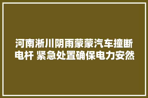 河南淅川阴雨蒙蒙汽车撞断电杆 紧急处置确保电力安然 汽车知识
