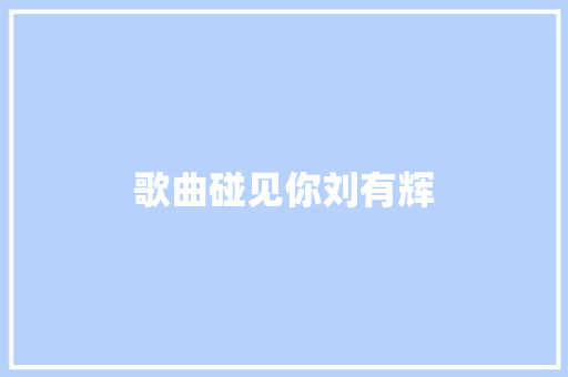 歌曲碰见你刘有辉 休闲娱乐